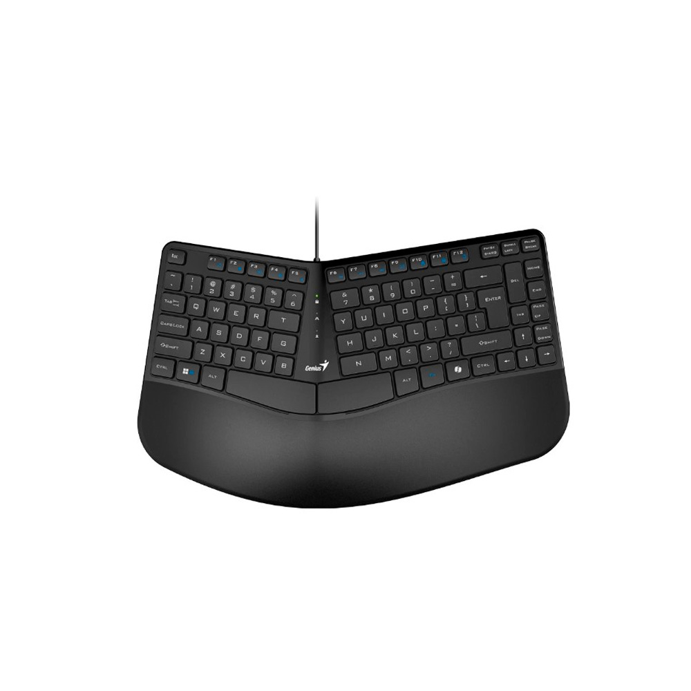 TECLADO GENIUS ERGO KB-700 USB