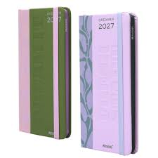 AGENDA 2027 MOOVING POCKET DREAMER