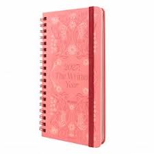 AGENDA 2027 MOOVING ESP.POCKET STORYBOOK
