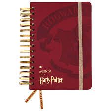 HARRY POTTER AGENDA 2025 MOOVING.14x20 ESP.DIA.